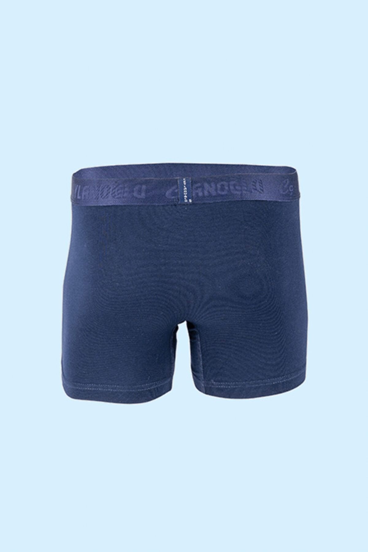 باکسر مردانه آبی سرمه ای Ceylanoğlu | Erkek Likralı Boxer اورجینال - تصویر 2