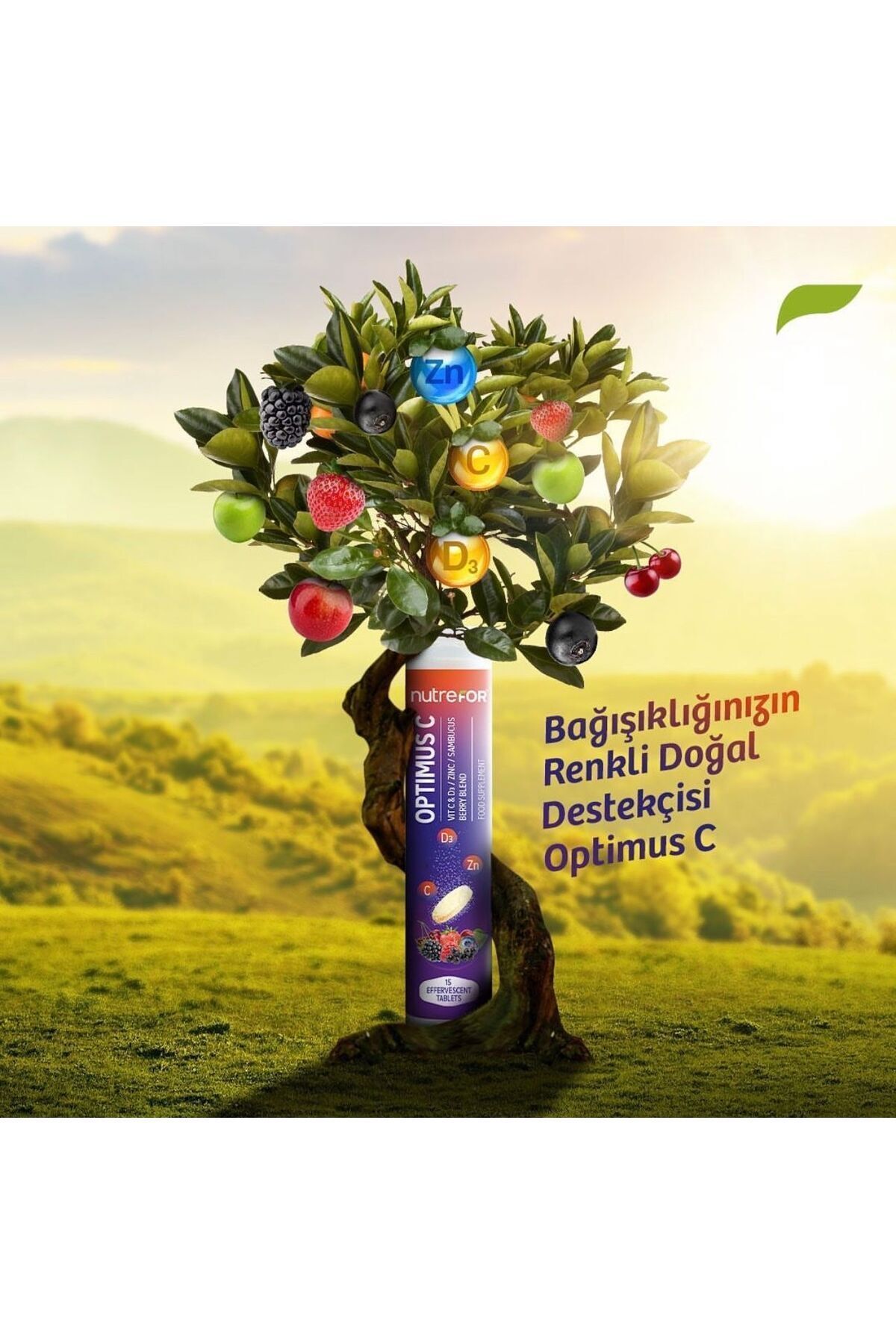 Nutrefor-Optimus C Formula 15 - Effervescent Tablet 4