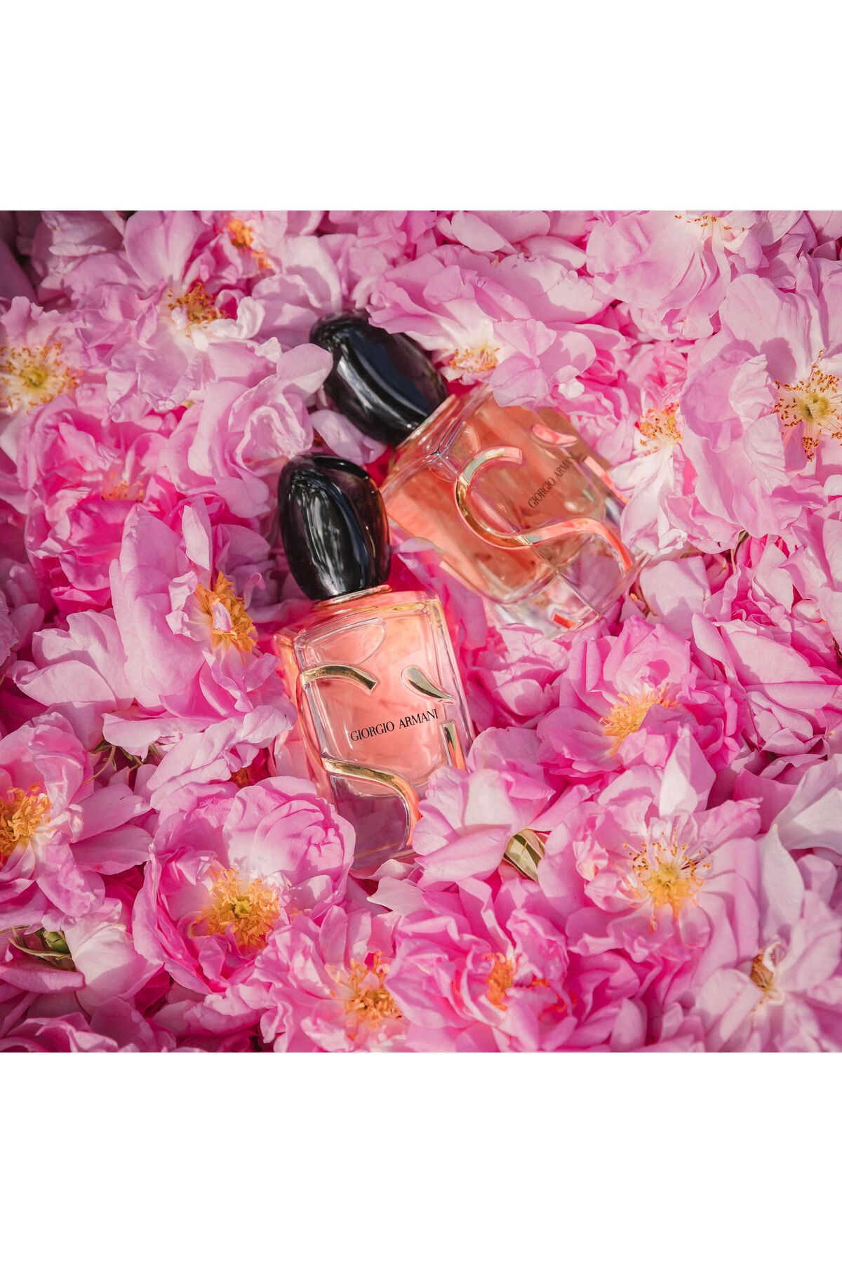 ادکلن زنانه  Giorgio Armani | VB829001 اورجینال - تصویر 5