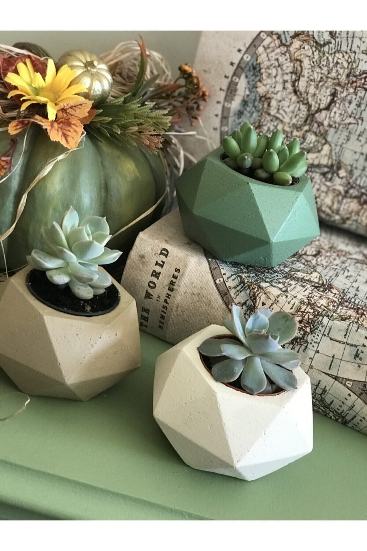 3'lü Sukulent Ve Kaktüs Beton Saksı Seti-çiçeksiz 2