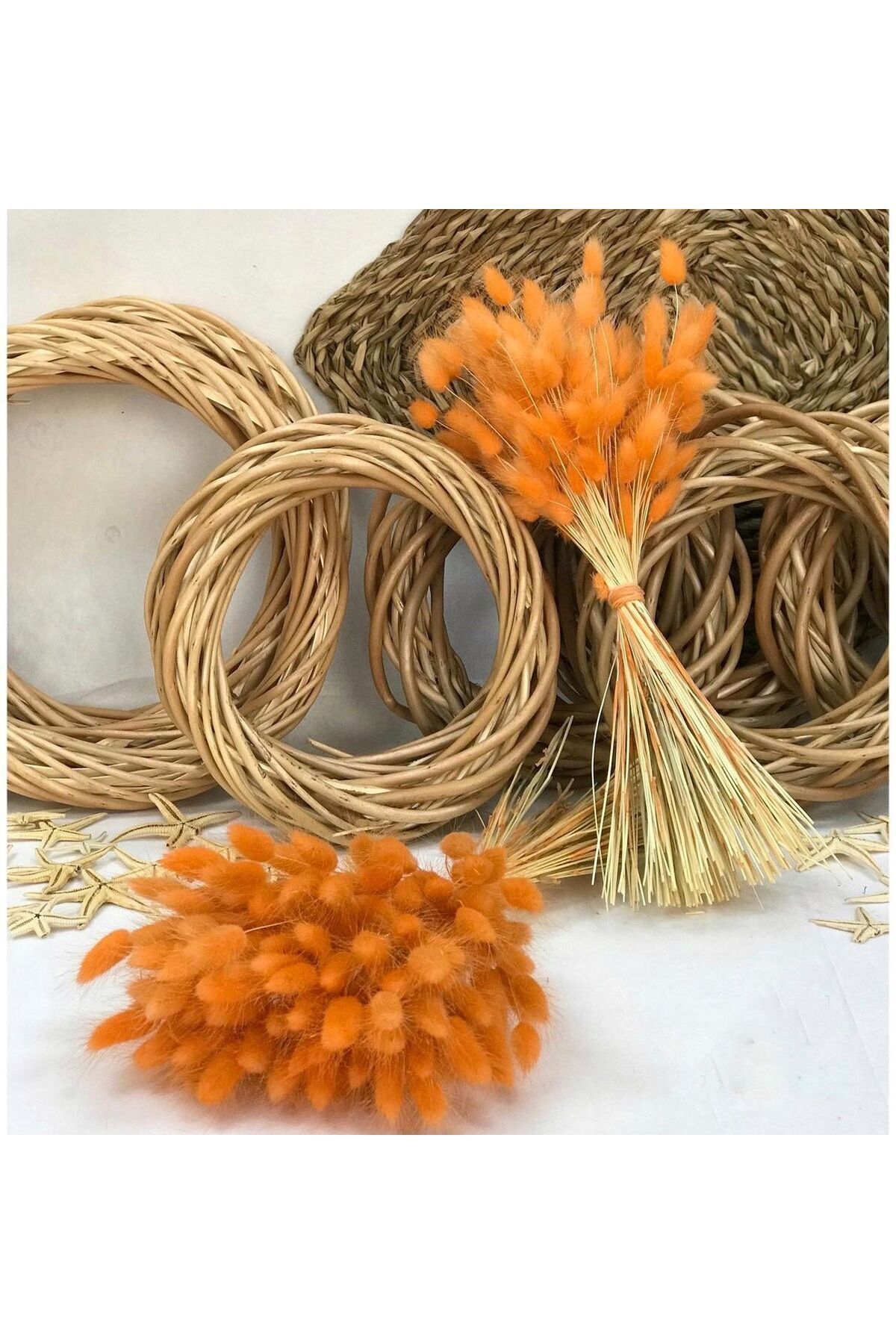 Cottonseed (Lagurus) Dried Flower.