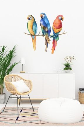 - Sim175 - Üçlü Papağanlar Duvar Sticker Seti Renkli SM0001PAPAGNSET01
