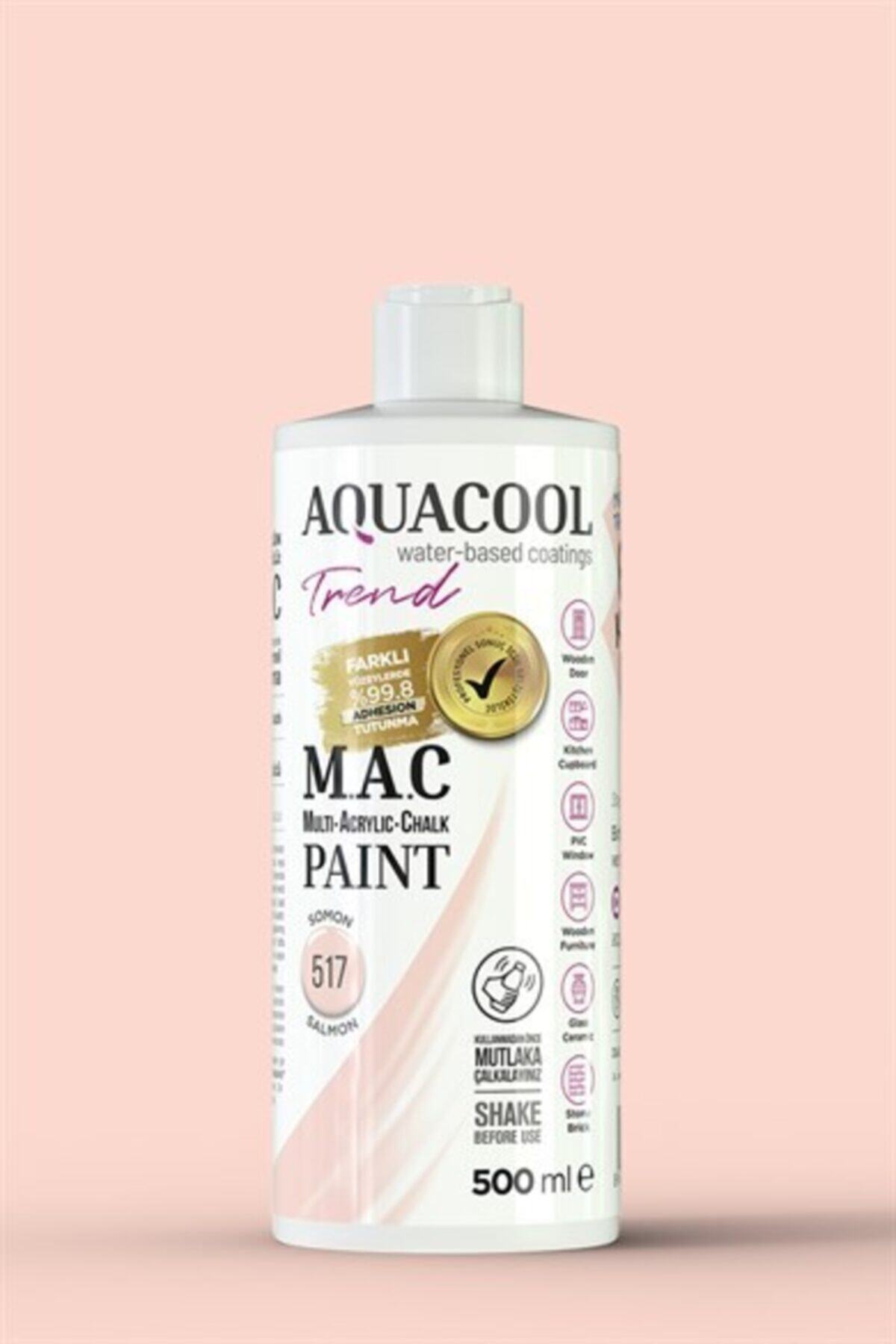 Mac Paint 517 Salmon 500ml