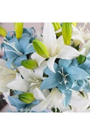 3 Adet Mavi Beyaz Karışık Zambak (lilyum) Çiçeği Soğanı 4678