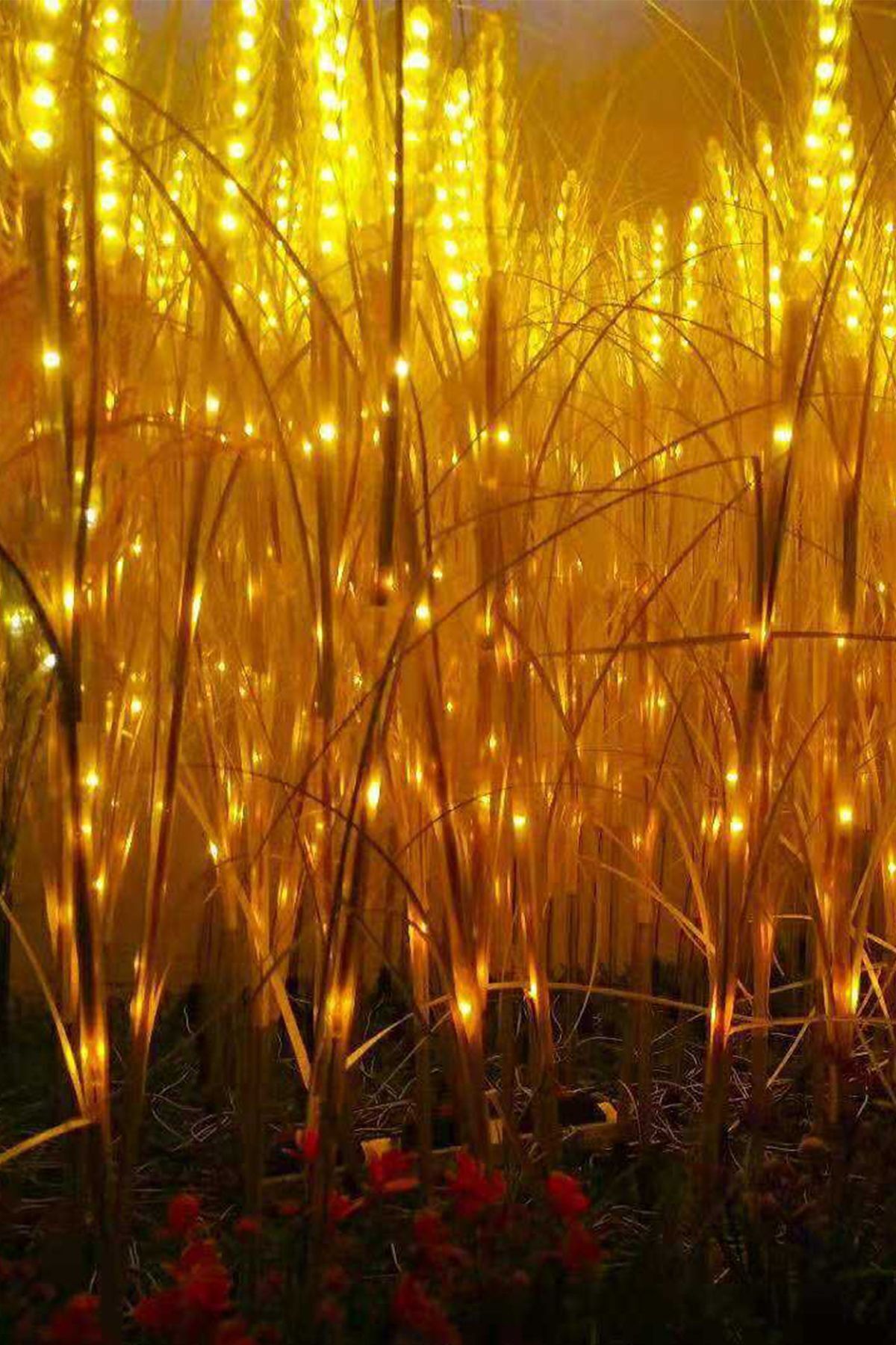 kochler 4 Adet Sarı Güneş Enerjili Led Işık Buğday Lambası - Bahçe Aydınlatması