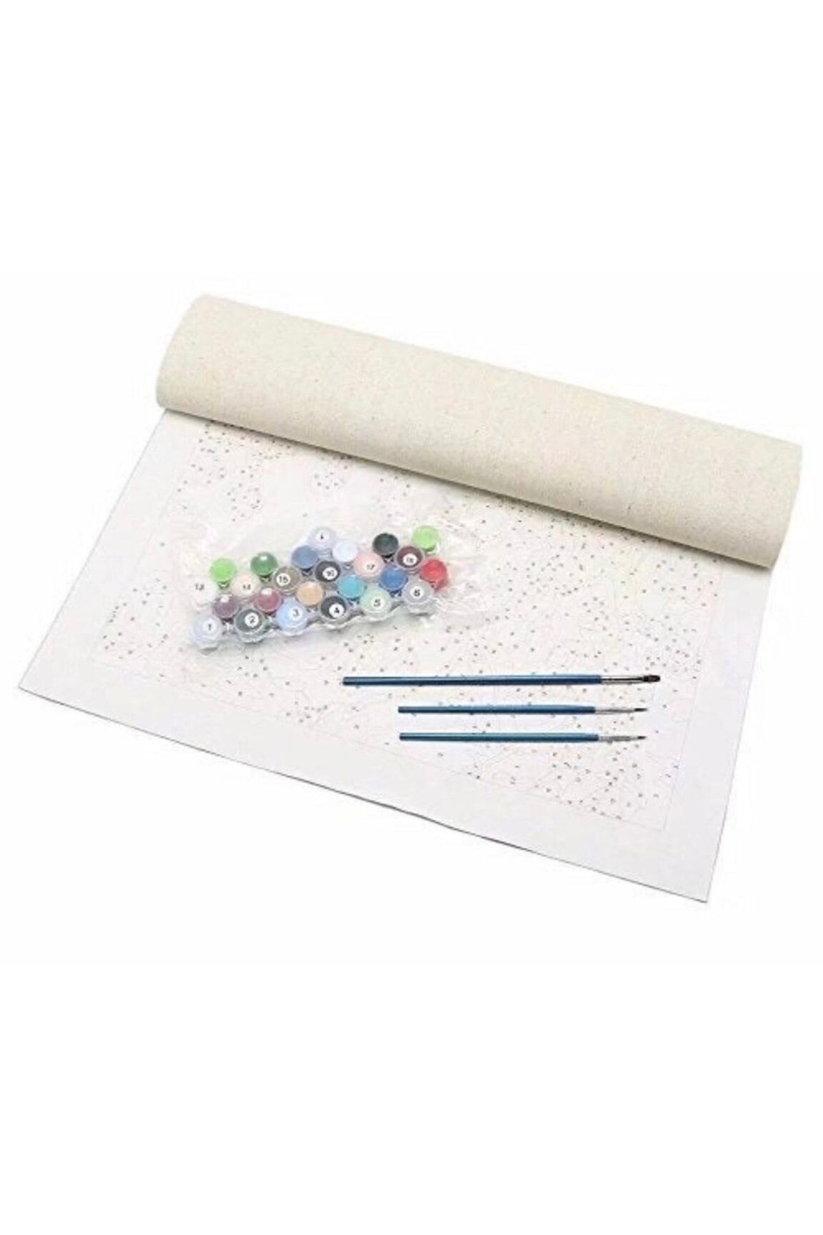 wombhobby-40x50 Cm Frameless Shades of Roses Painting Set 3