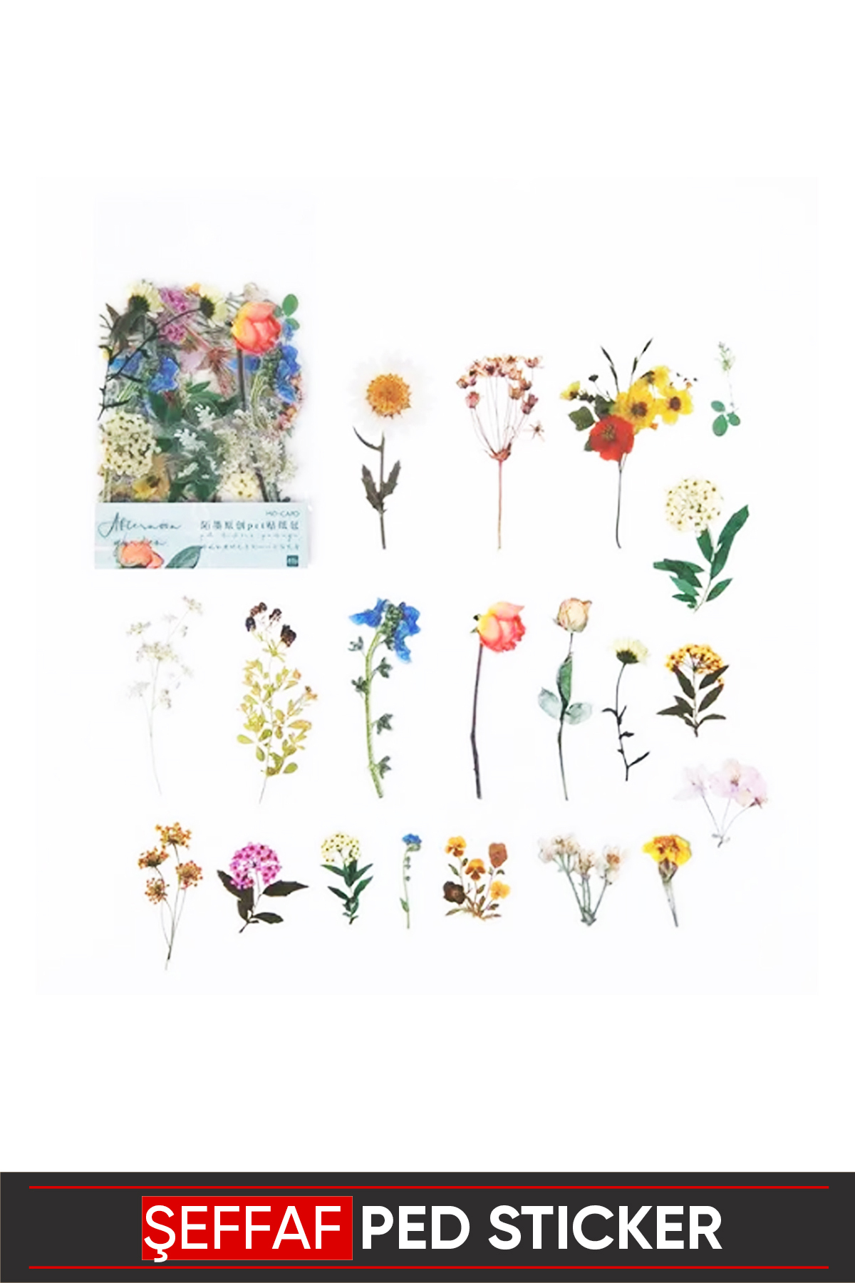 Vox Art Vintage Şeffaf Pet Sticker 4-8cm 40 adet