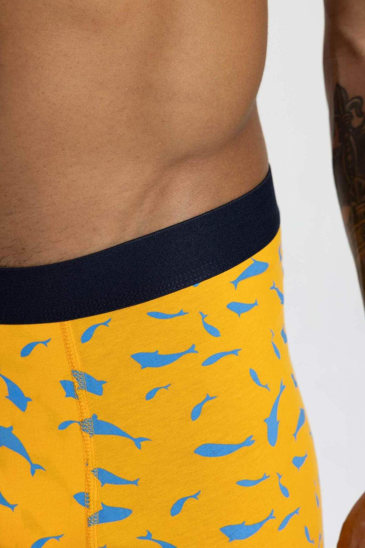 DeFacto-Regular Fit 3-pack Boxer 8