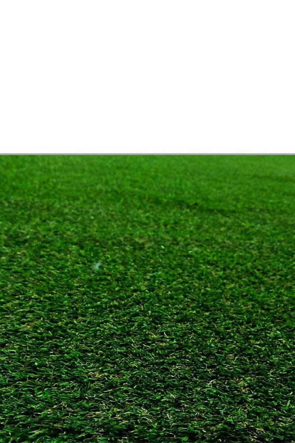 - Suni Yapay Çim Halı Serisi - 20mm - Yeşil - En 1.5 Metre - Yüksek Çim Hissi 3
