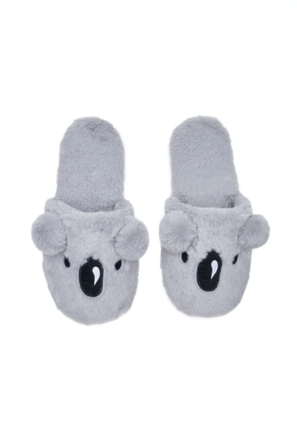 Hollister koala slippers new arrivals