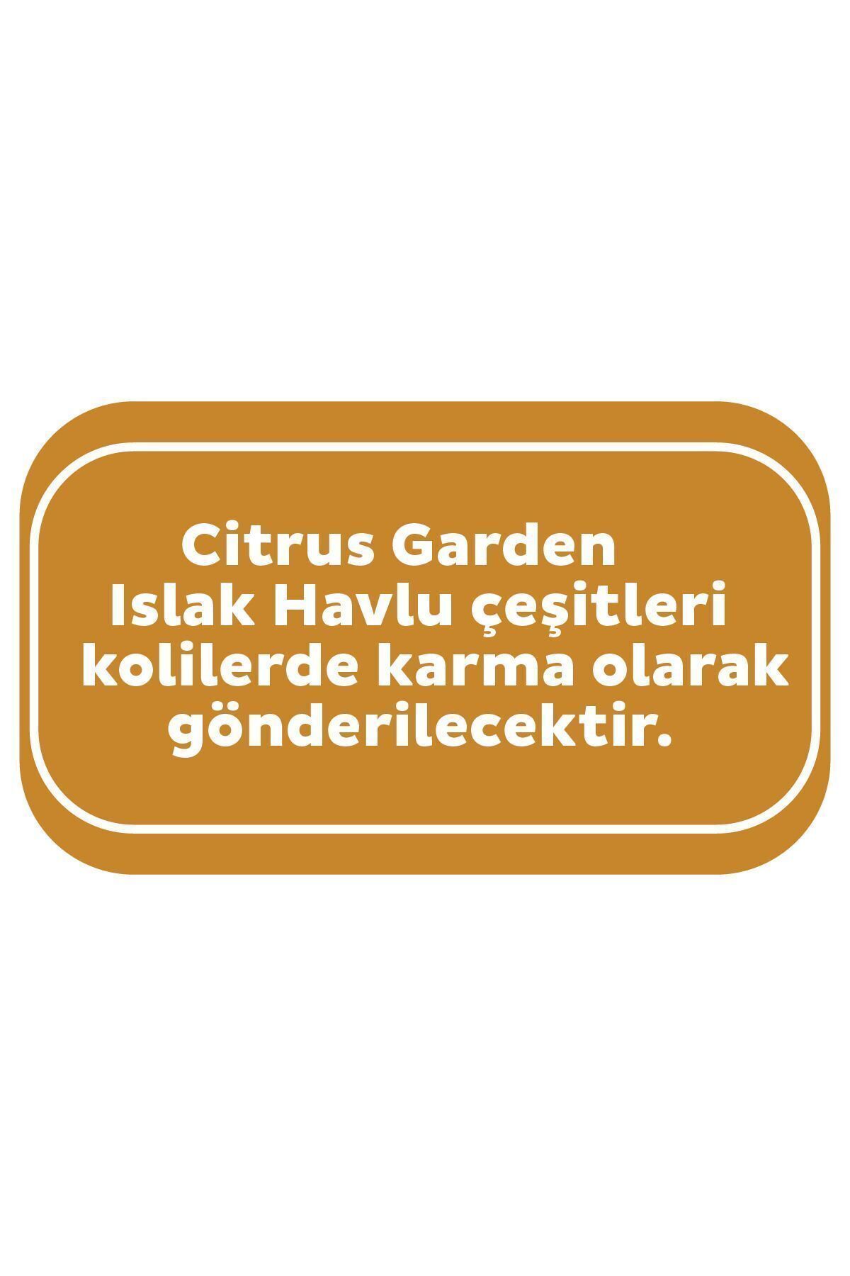 Sleepy Citrus Garden Islak Bebek Havlusu 24x90 (2160 YAPRAK) fotoğrafı 3 (önizleme)