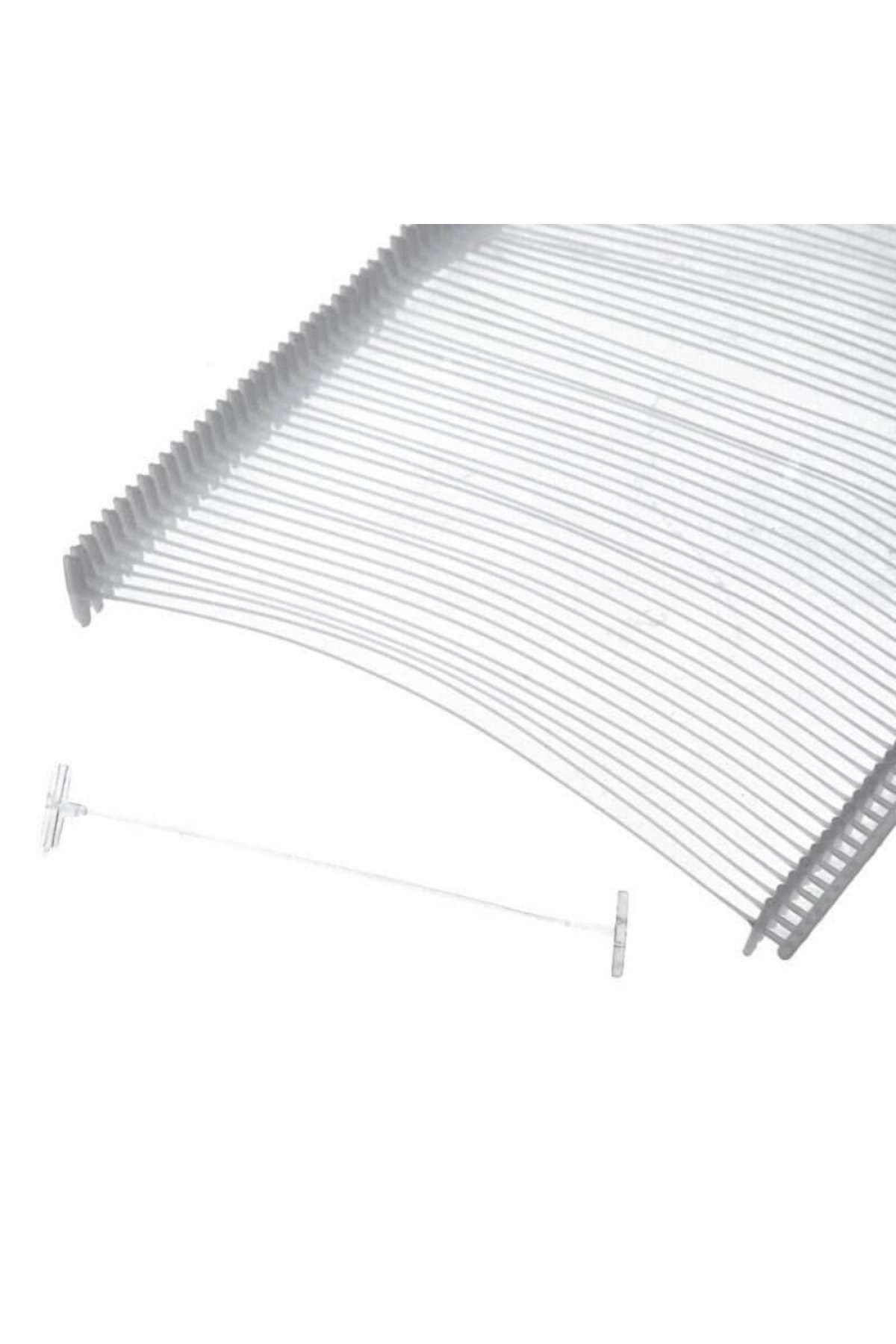 50 MM STANDARD LABEL BONES (10,000 PCS/BOX)