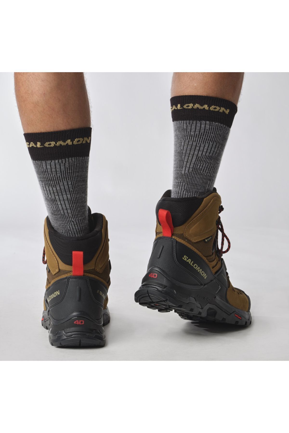 کفش های فضای باز چند رنگ مردانه 4 GORE TEX اورجینال Salomon