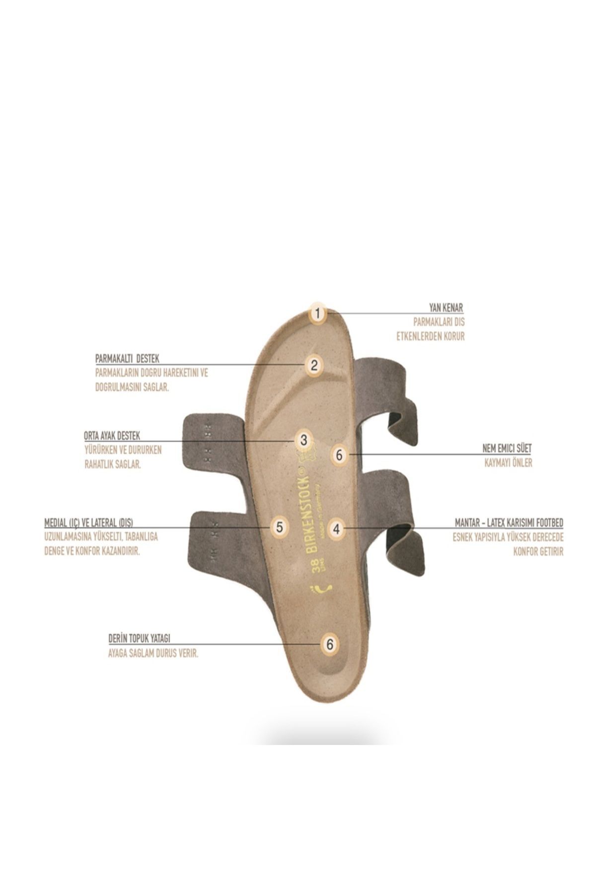 دمپایی بیرکن استاک زنانه چرم قهوه ای پوشاک ساحل راسته      کژوال/روزمره | Birkenstock 1024822 DE - تصویر 8