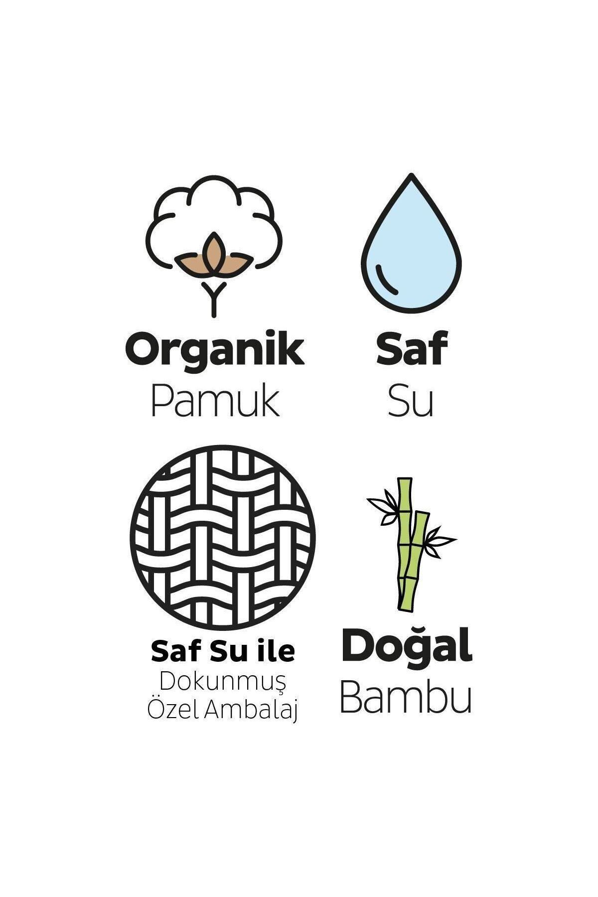 Sleepy Yenidoğan Islak Bebek Havlusu 24 x 40 Lı 960 Yaprak fotoğrafı 3 (önizleme)