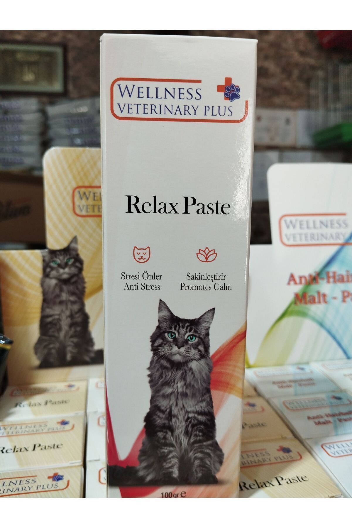 wellness Veterinary Plus Relax Paste 100gr