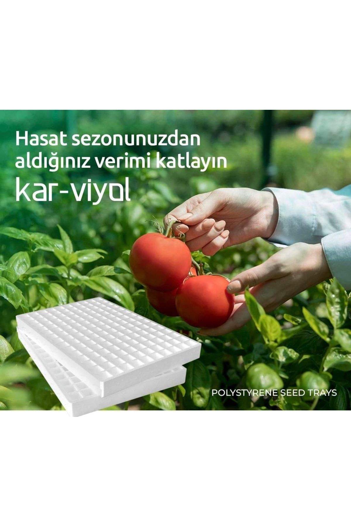 45 Göz Strafor Köpük Viyol (FİDE YATAĞI) 8