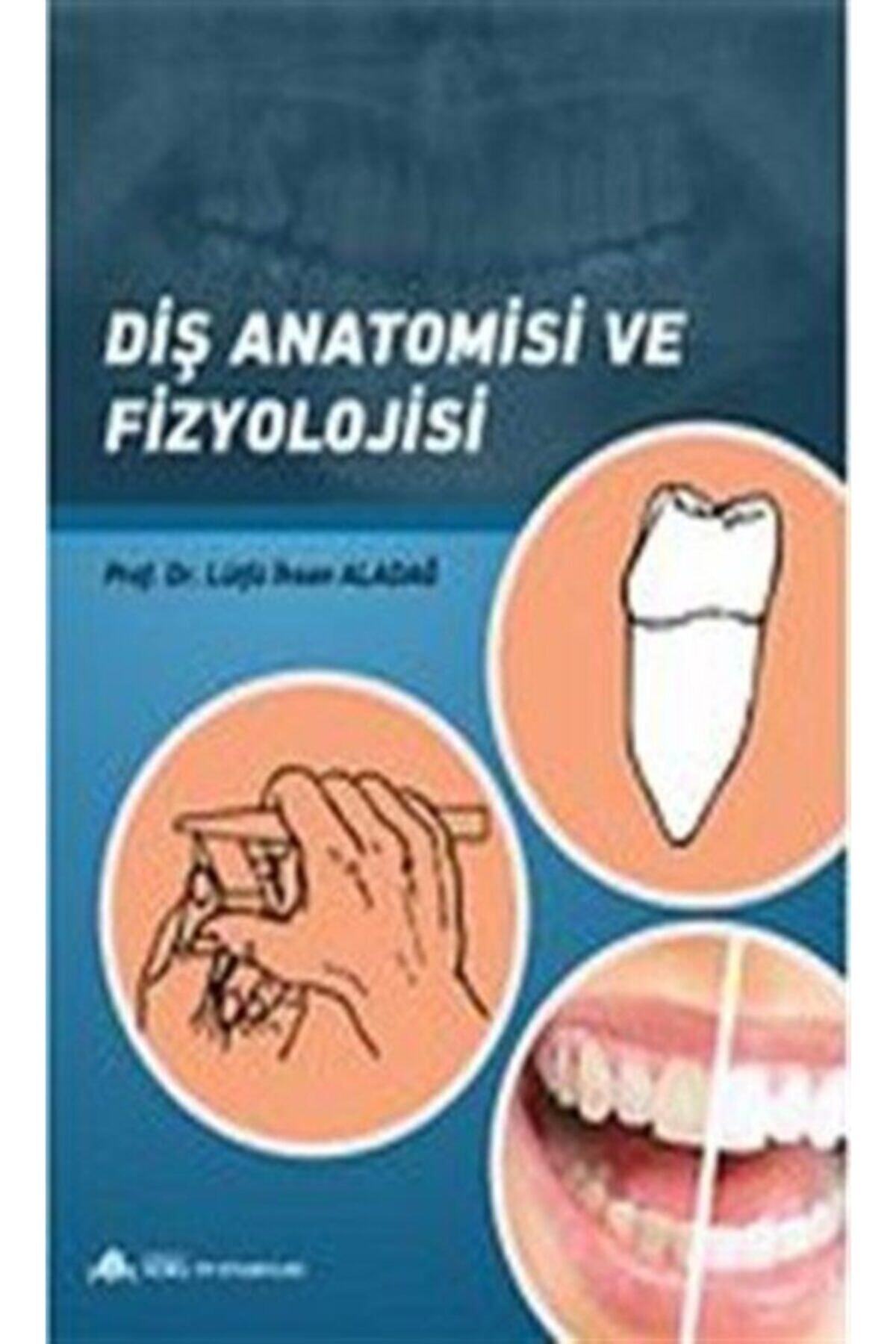 Anadolu Nobel Tıp Kitabevleri Diş Anatomisi Ve Fizyolojisi