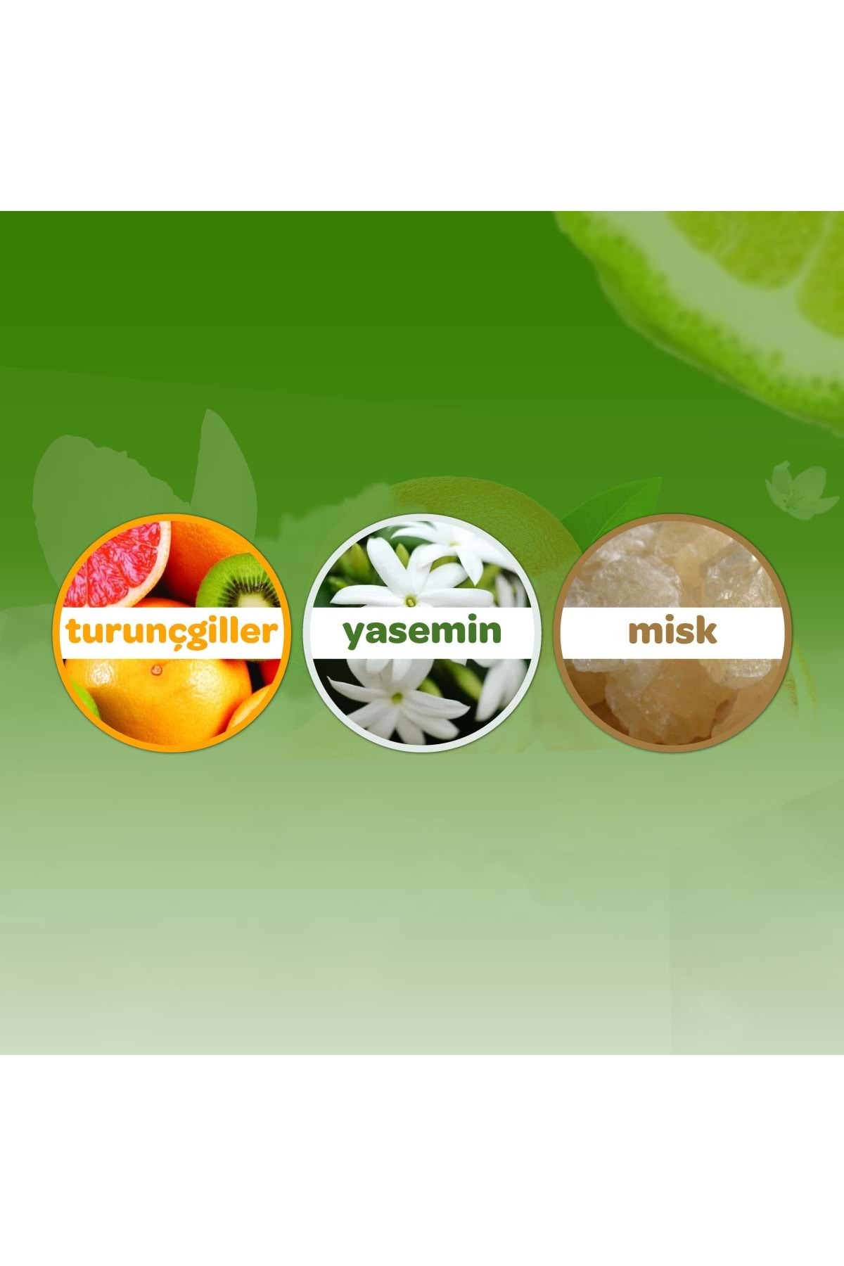 Dalin Bebek Kolonyası 150ml Orman Esintisi (VANİLYA-İRİS ÇİÇEĞİ-PORTAKAL KOKULU) (2 Lİ SET) fotoğrafı 4 (önizleme)