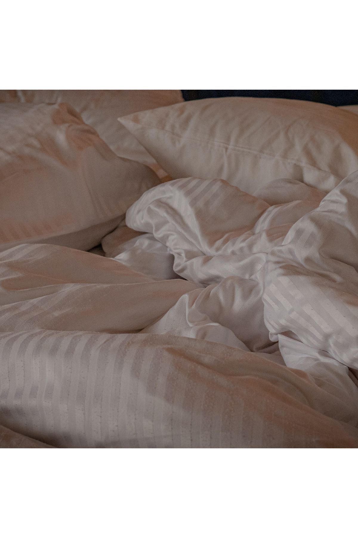 Otel Concept-Cotton Satin Striped Elastic Single Sheet 83 Strings - Single 1