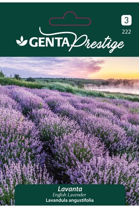 Genta Prestige Lavanta Çiçek Tohumu