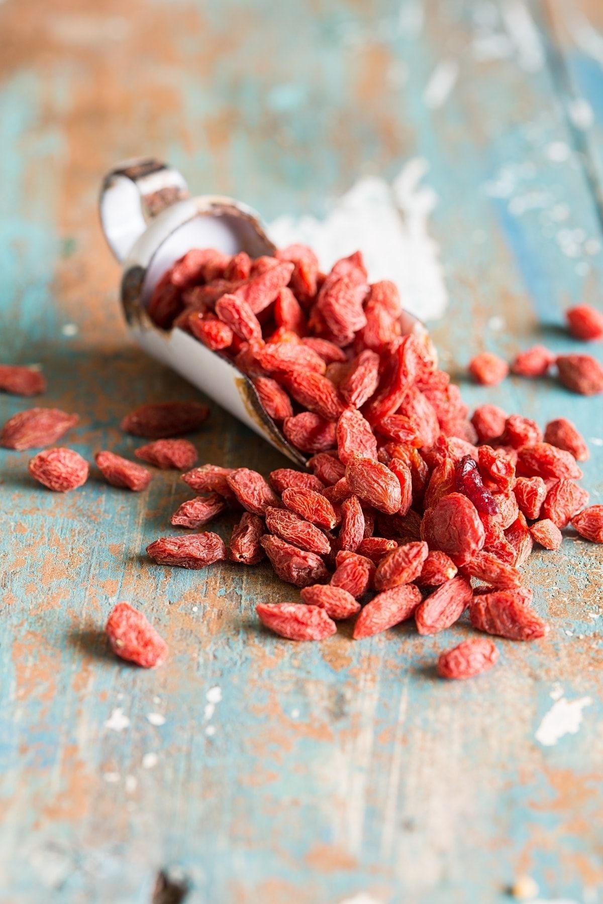 ZENGARDEN EV VE BAHÇE Goji Berry Tohumu Lycium Barbarum Seeds - Fiyatı ...