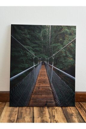 Doğaya Uzanan Köprü Kanvas Tablo 50x70 DB-C0026