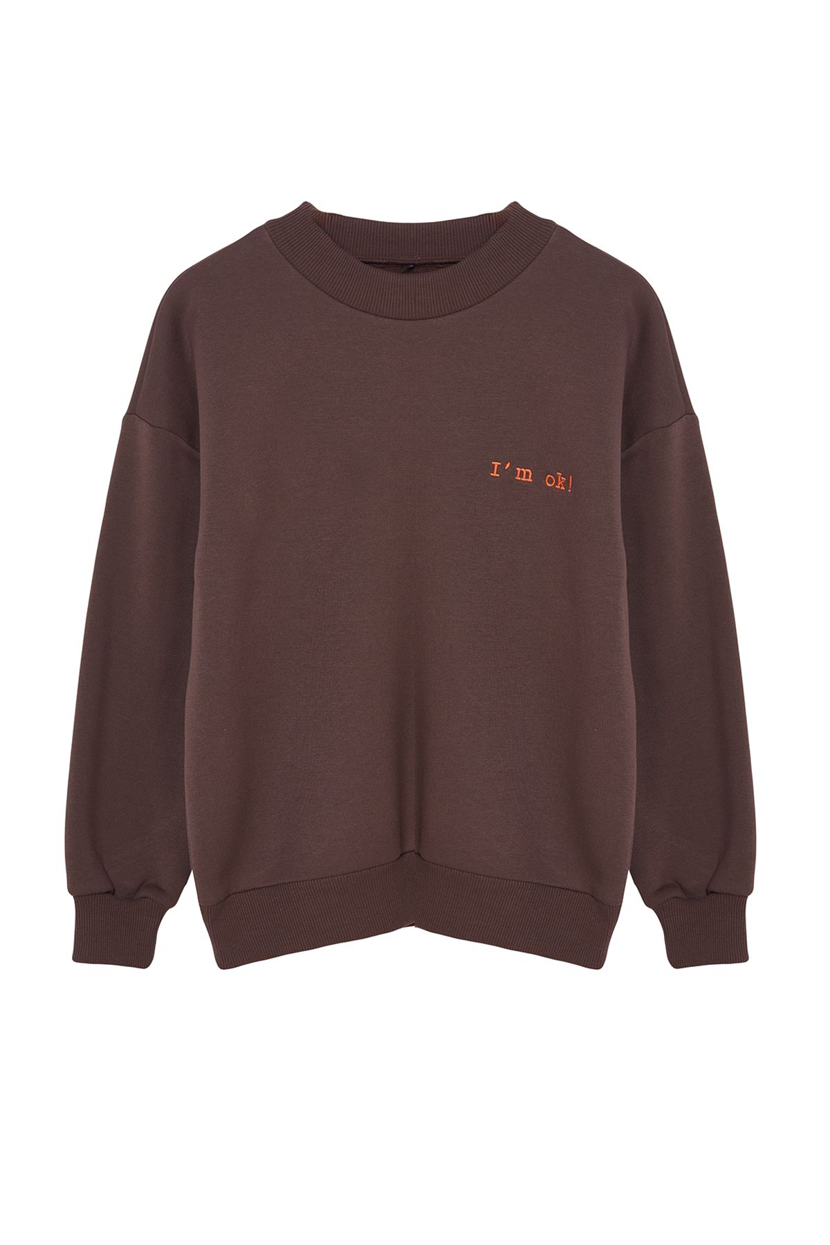 Trendyol Collection-Hnědá tlustá fleece uvnitř Regular/Normal Fit Slogan Vyšívaná pletená mikina TWOAW21SW1061 12
