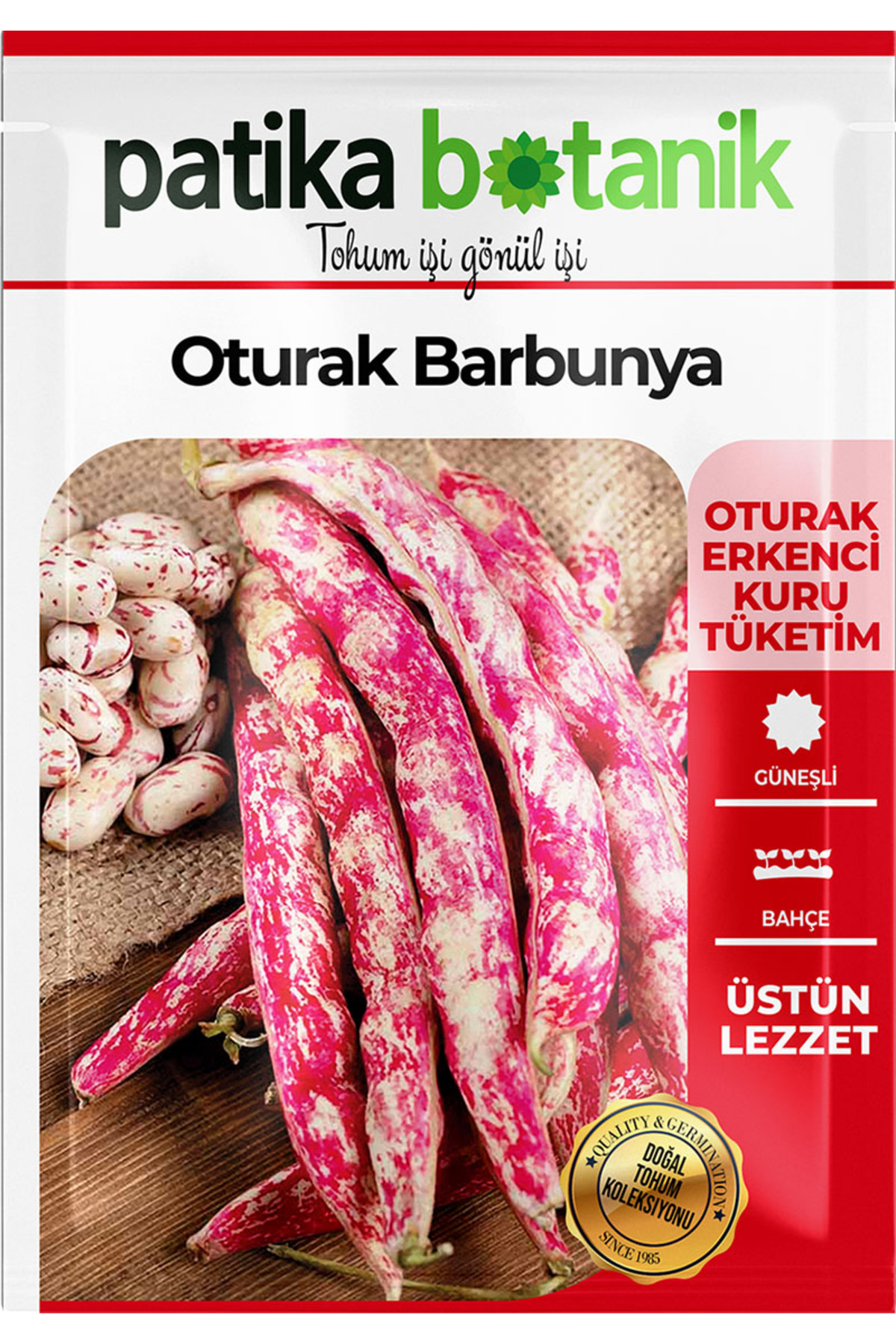 40 Adet Ata Tohumu Yerli Oturak Barbunya (SELİM) 2