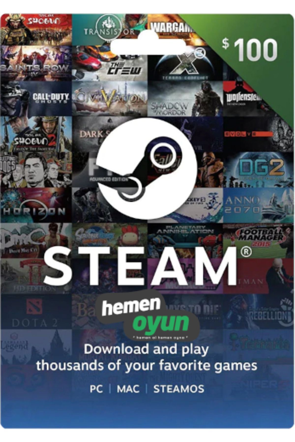 hemenoyun Steam Gift Card 100 USD Dolar Cüzdan Kodu