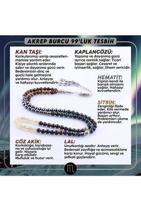 OSMANLI DOĞAL TAŞ Akrep Burcu 99'luk Tesbih Obsidyen-kan Taşı -ametist-lal-la...