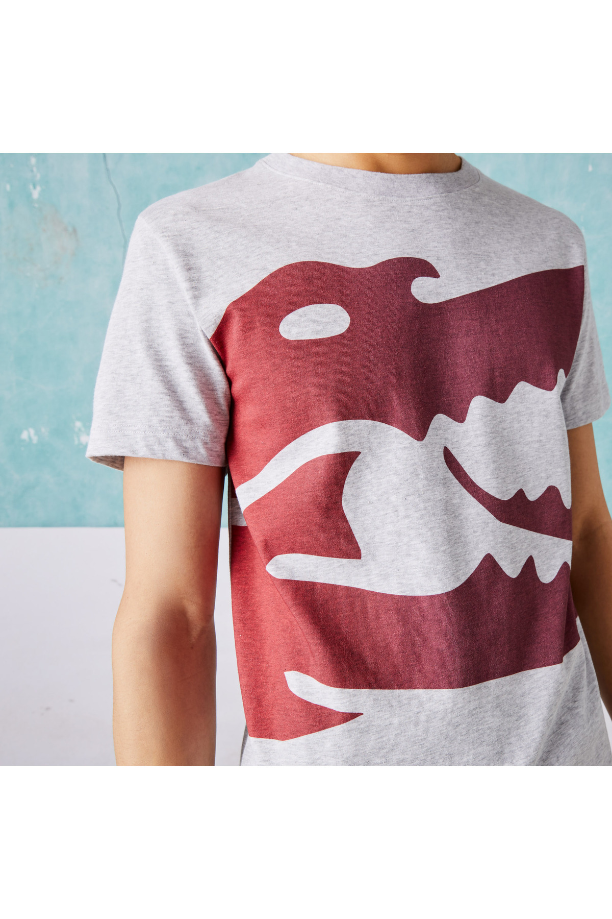 Lacoste Sport X Novak Djokovic Erkek Regular Fit Bisiklet Yaka Bask l Gri T shirt Erkek Giyim