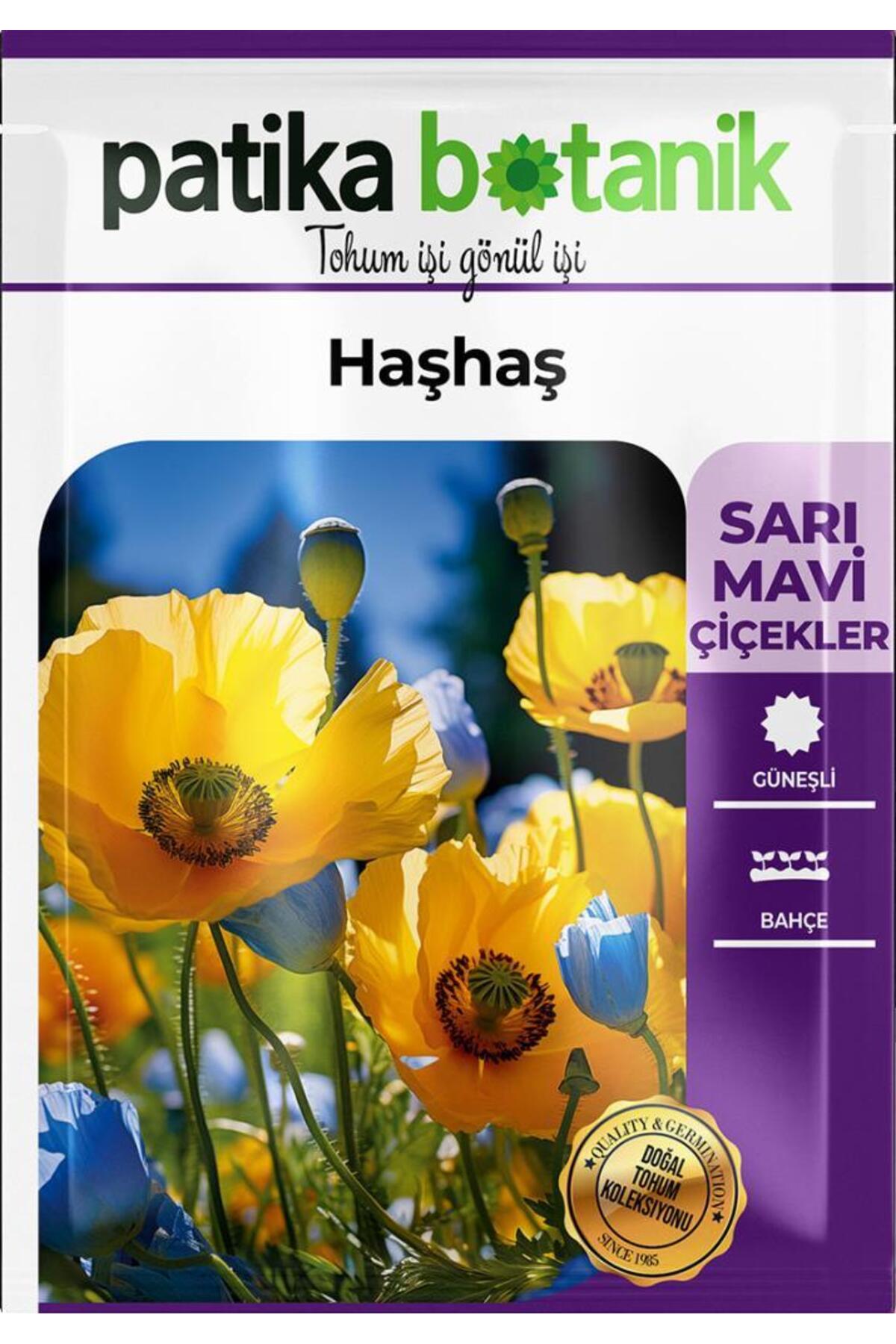 Patika Botanik 7000 Adet Haşhaş Tohumu - Sarı, Mavi Renk (Papaver Somniferum)