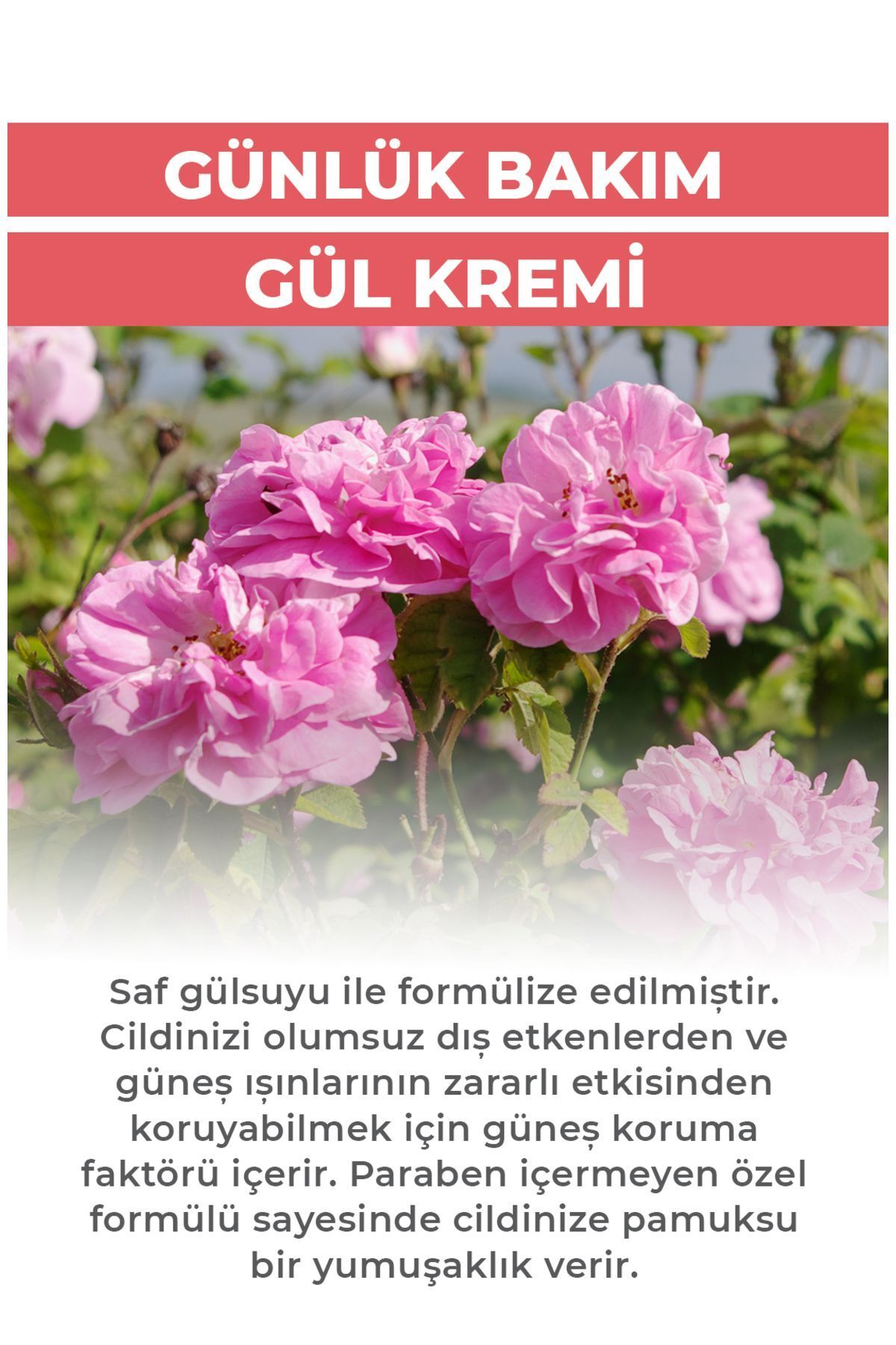 کرم مرطوب کننده روز رز 45 میلی لیتری - محافظ SPF20 Ab-ı Gül