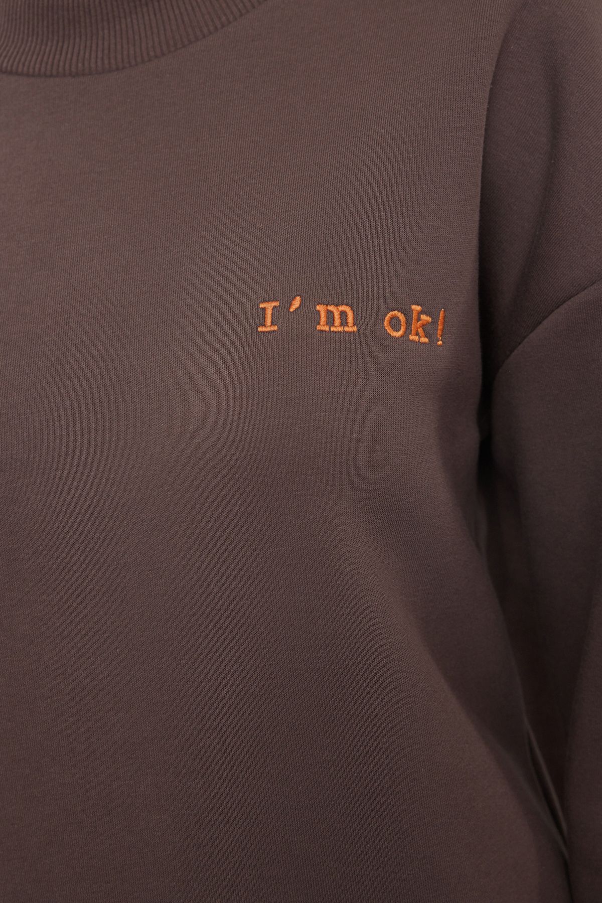 Trendyol Collection-Hnědá tlustá fleece uvnitř Regular/Normal Fit Slogan Vyšívaná pletená mikina TWOAW21SW1061 4