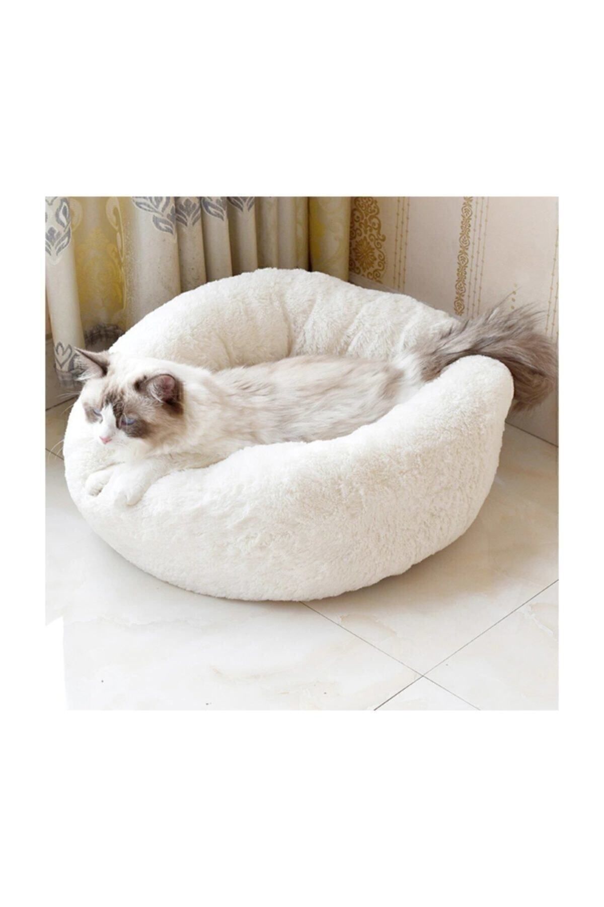 un lit de chat blanc un lit de chien