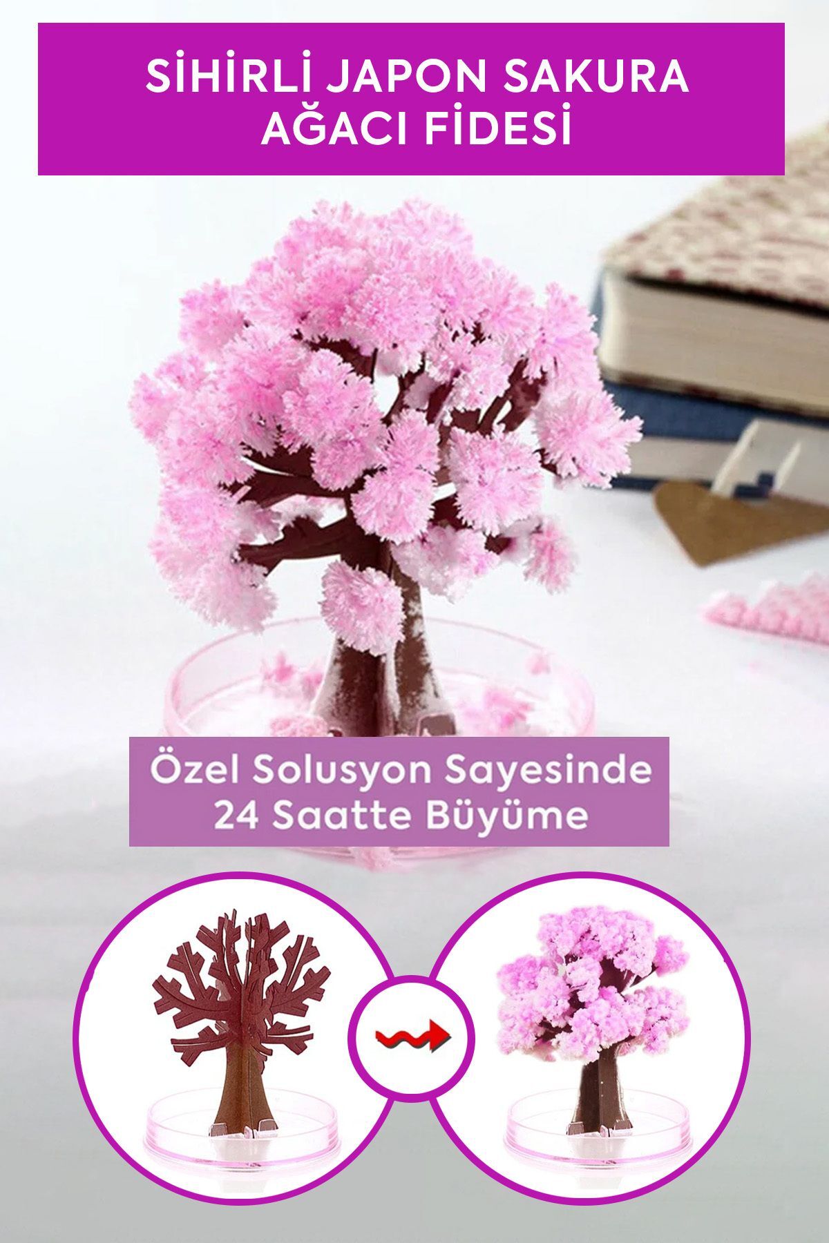 MERCANCO Sihirli Japon Sakura Ağacı - Fiyatı, Yorumları