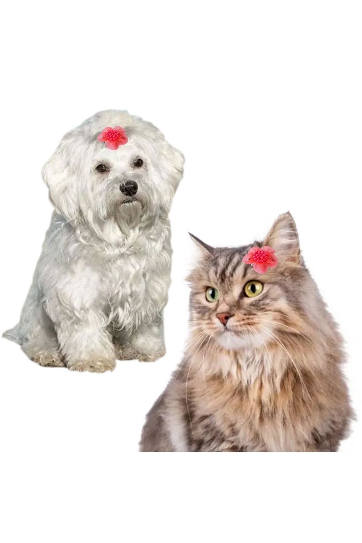 Kedi Köpek Saç Tokası Pensli 2'li Set Pembe Boncuklu