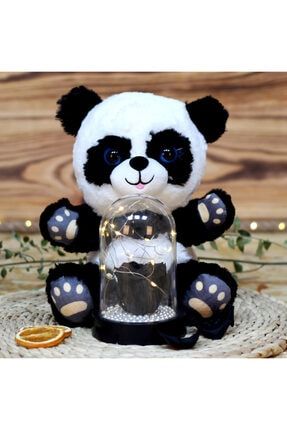 Ters Fanus Teraryum Peri Led Işıklı Peluş Küçük Panda Siyah Solmayan Gül KKH0848
