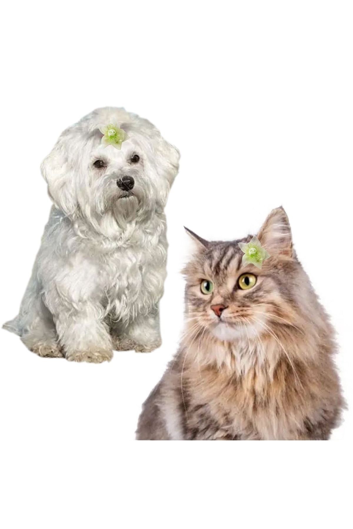 Kedi Köpek Saç Tokası Pensli 2'li Set Yeşil Renk