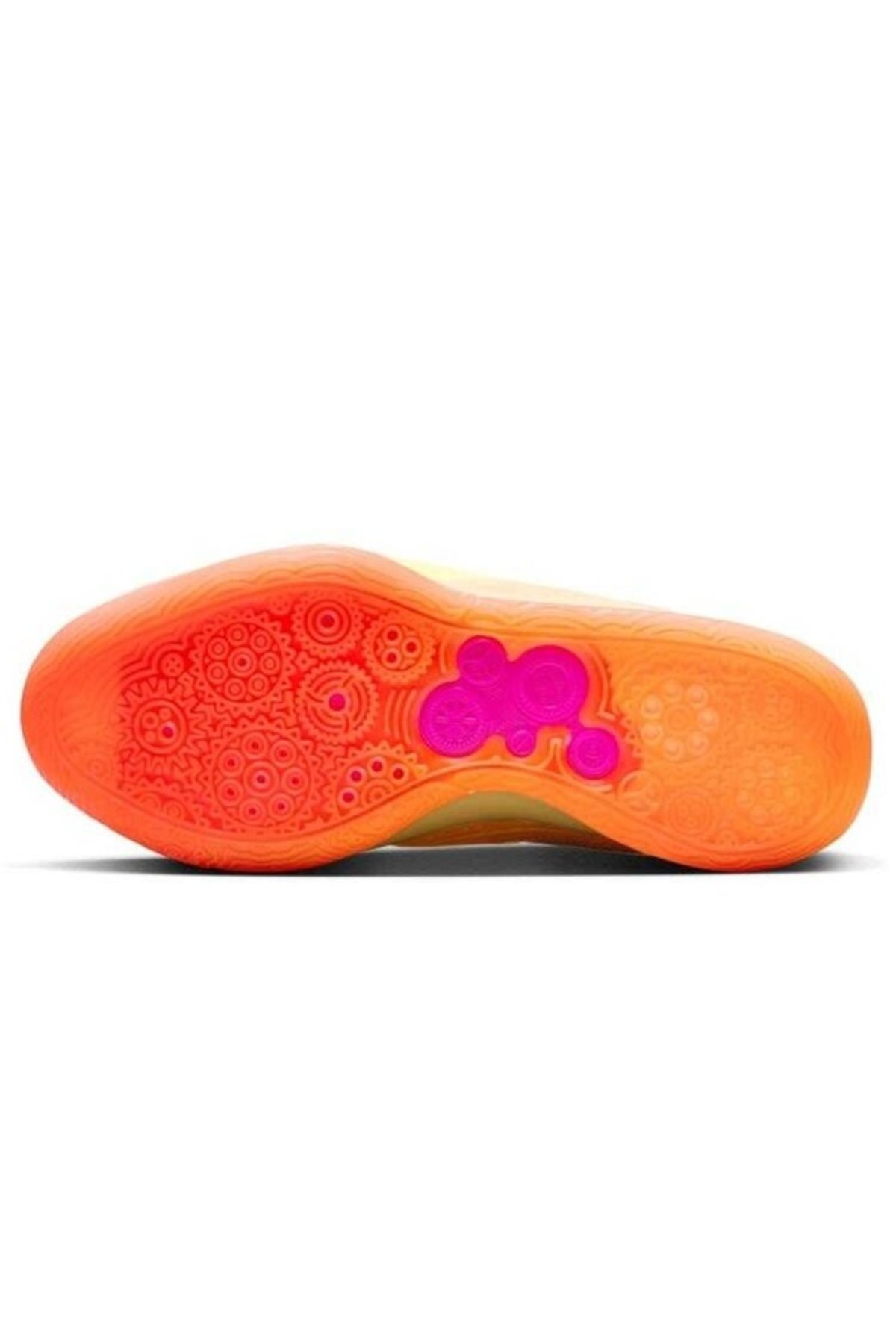 Kd 16 shoes discount