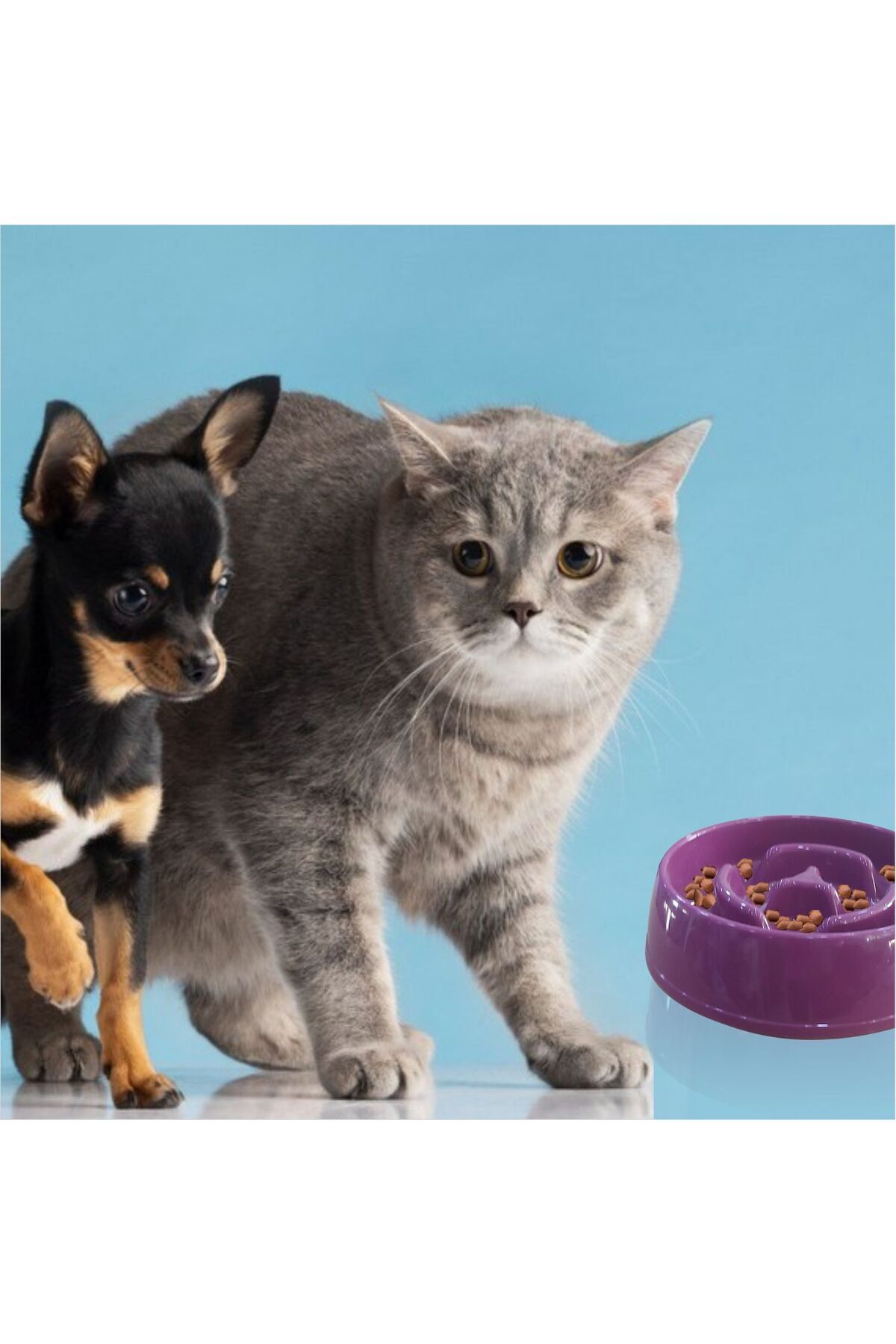 m3decor-um-az-yava-yeme-yediren-k-k-175-cc-obez-kedi-k-pek-evcil