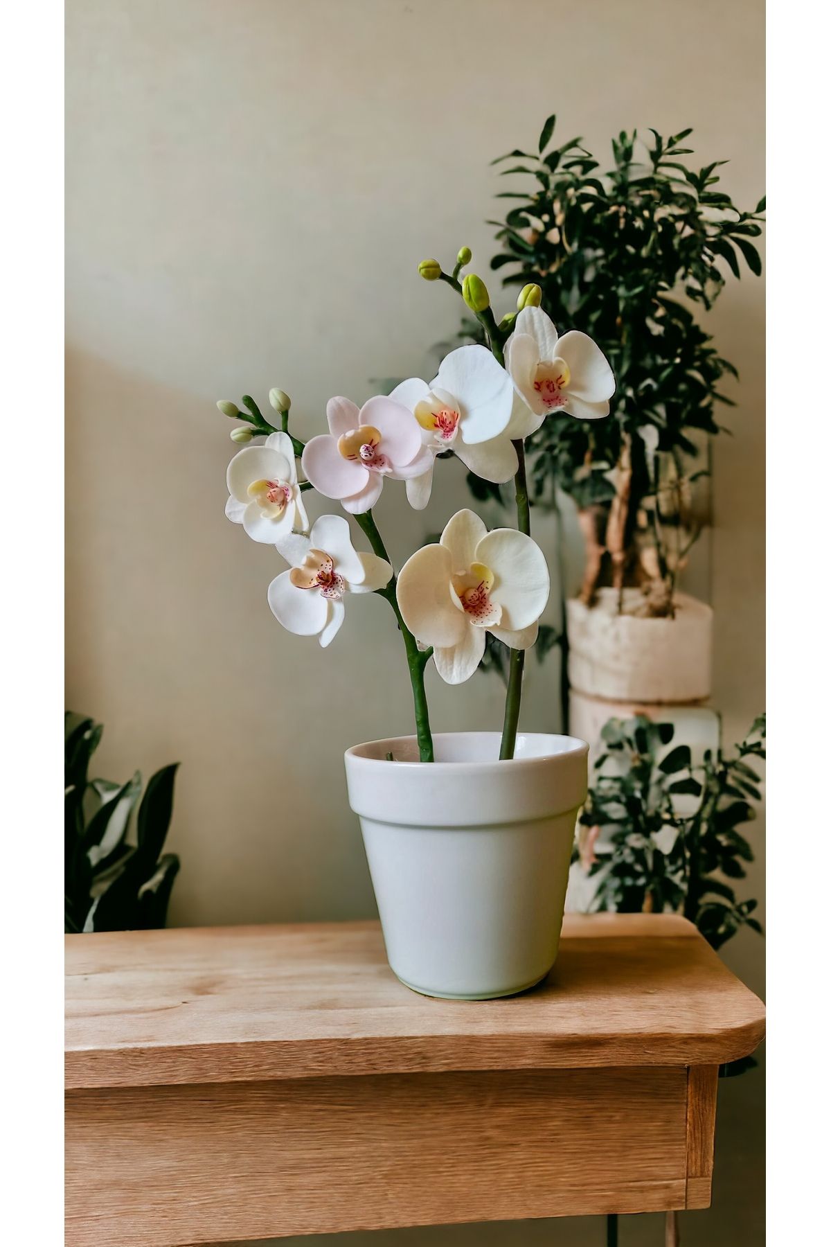 Silikon Kalıp / Flowers : Orchid & Leave / Çiçekler :Orkide & yaprak - 2