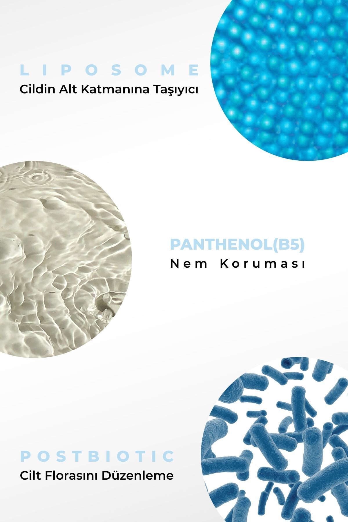 Postbiotic Liposomal Hyaluronic Acid Serum & Nemlendirici Dolgunlaştırıcı Cilt Bakım Serumu 30ml — 9192alm — تصویر 6 از 6