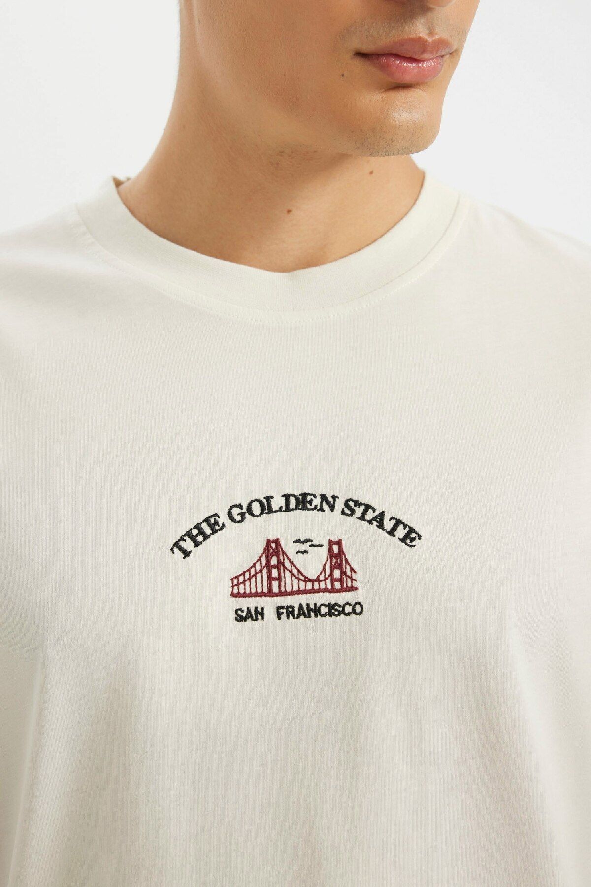 تی شرت مردانه دفاکتو | D2588AX24AU Defacto - Image 5