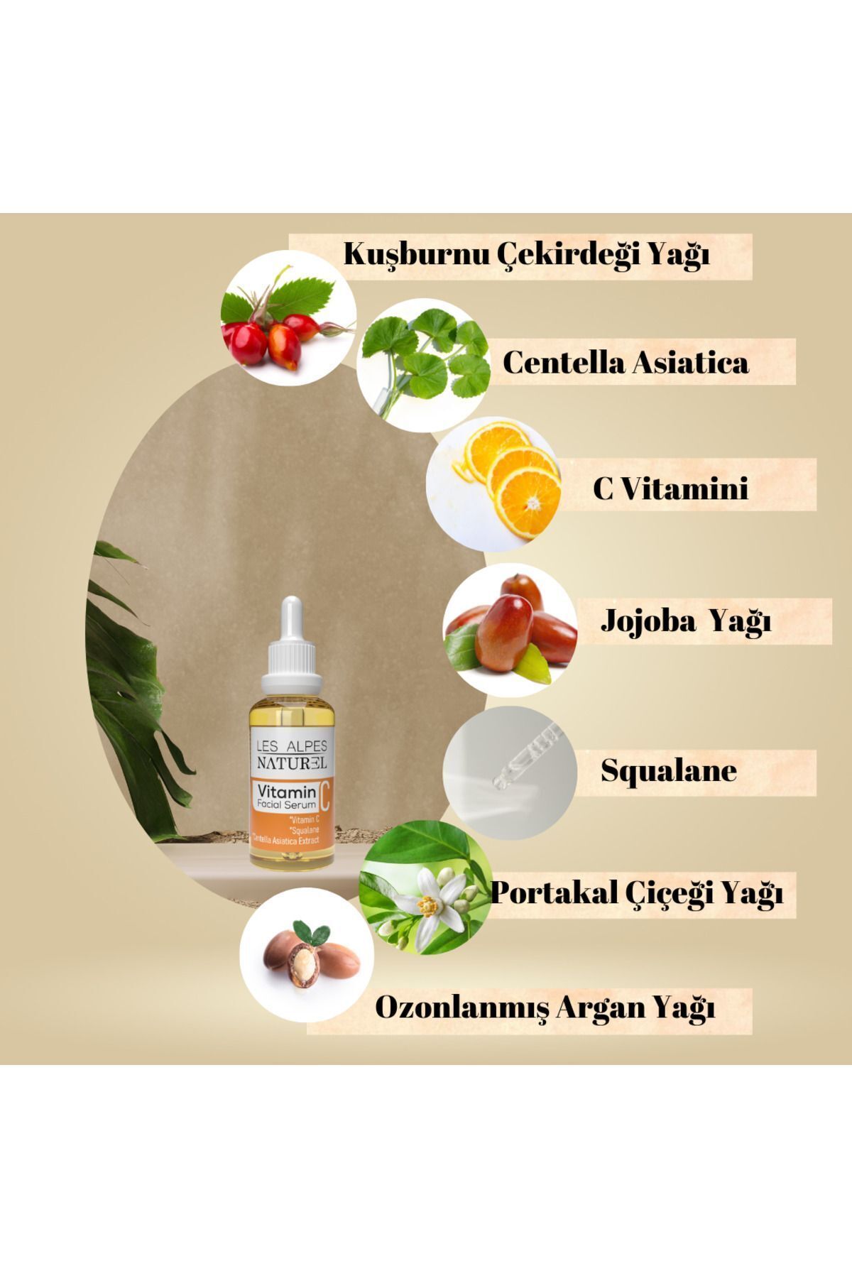 سرم پوست   Les Alpes Naturel | cvitamini30ml اورجینال - تصویر 2