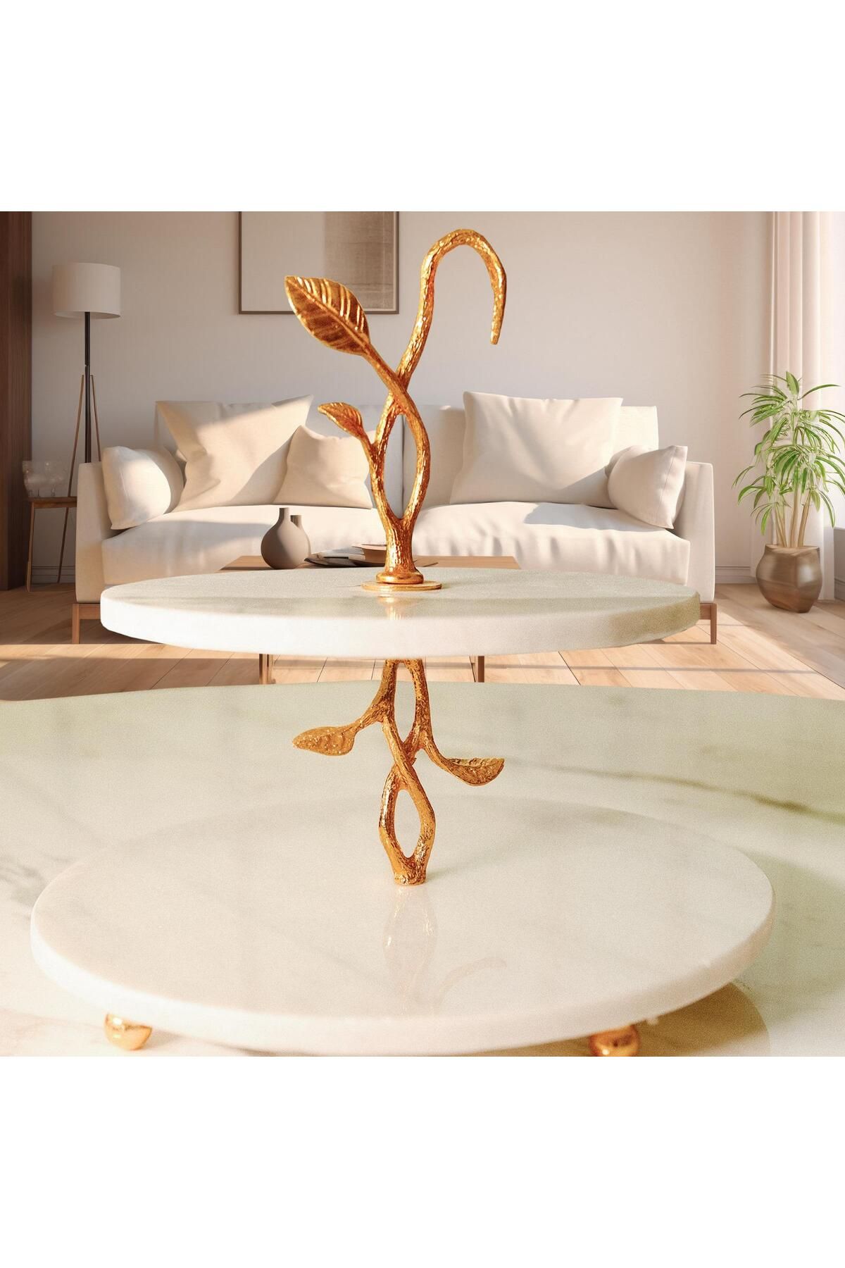 Modestmar-2 Layer Natural White Marble Presentation - Cypress 6