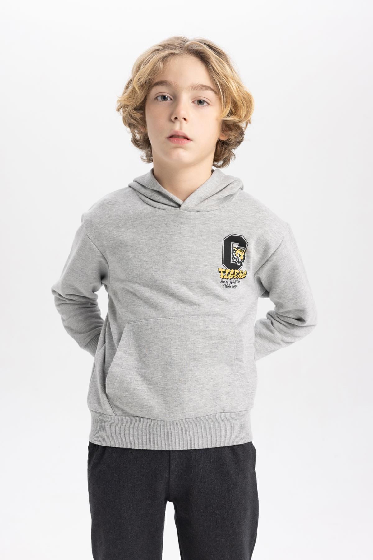 سویشرت پسرانه دفاکتو | B9012A823CW Defacto - Image 3