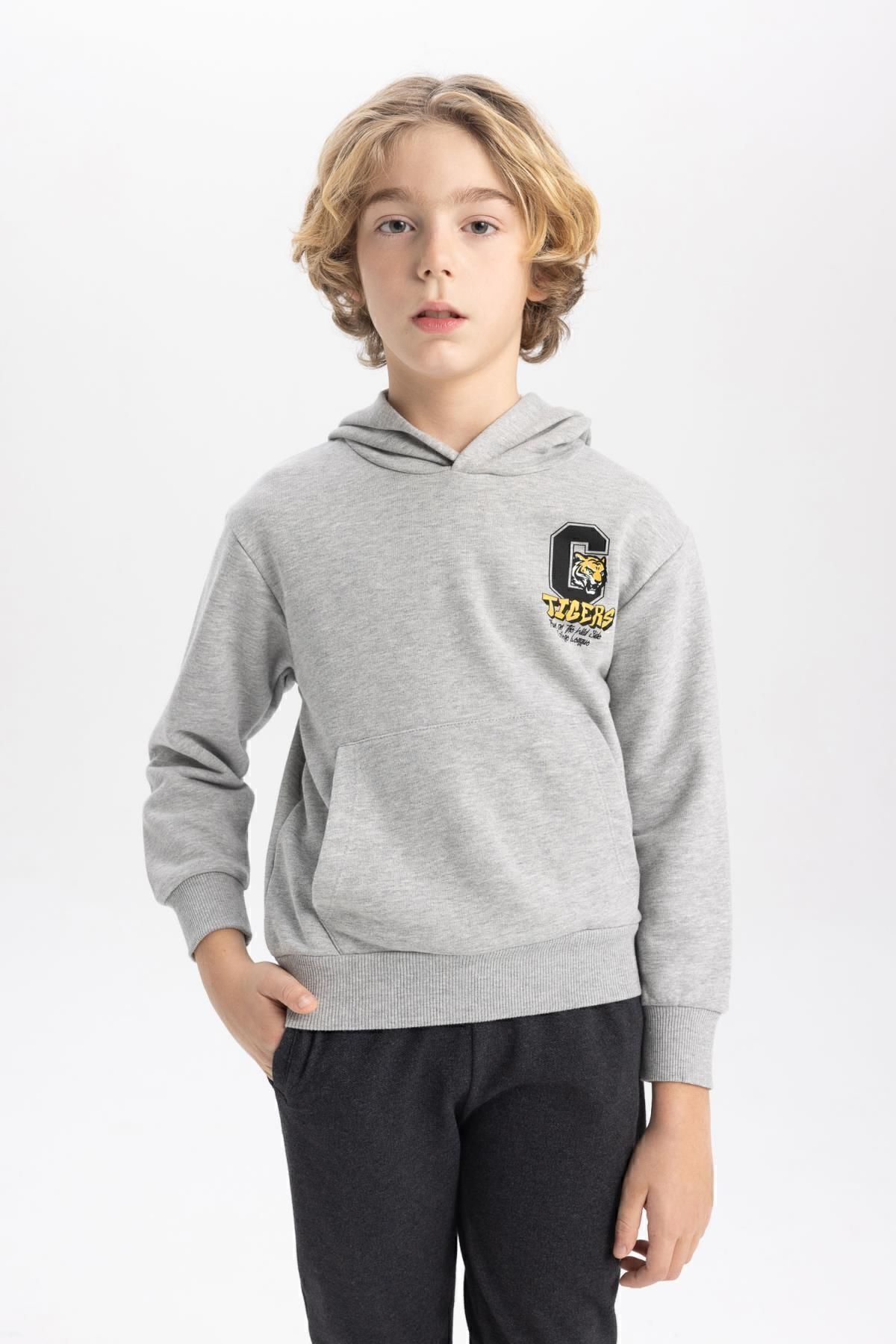 سویشرت پسرانه دفاکتو | B9012A823CW Defacto - Image 4