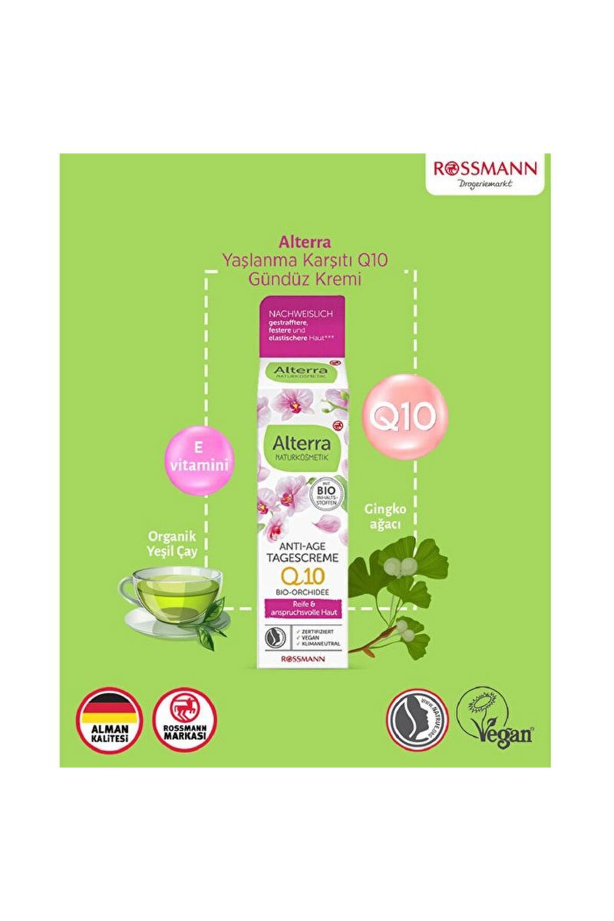 کرم صورت ضد پیری Q10 DAY CREAM E ویتامین 50 میل Alterra